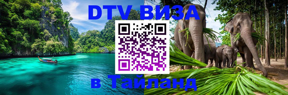 DTV Visa Тайланд купить Нижний Новгород 
